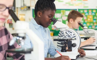 Crucial Steps We Can Take To Achieve More Diversity In STEM