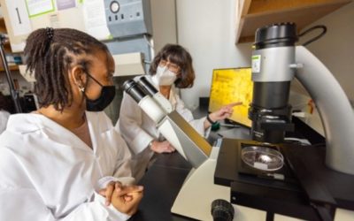 Northern Arizona University: Team will use $1.3 million in Funding to Reduce Racial Disparities in STEM Graduate Program
