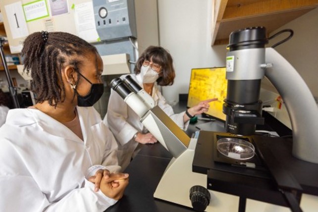 Northern Arizona University: Team will use $1.3 million in Funding to Reduce Racial Disparities in STEM Graduate Program