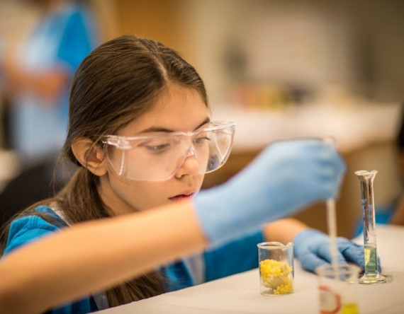 The STEM Gap: Women and Girls in Science, Technology, Engineering and Mathematics